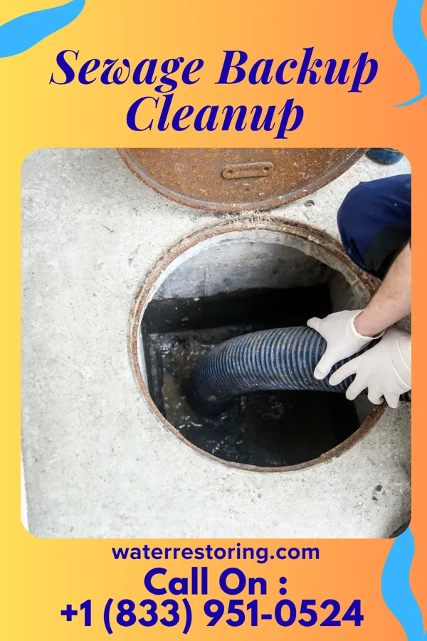 Sewage Backup Cleanup in Cornersville, TN