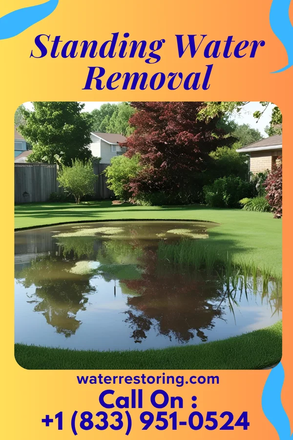Standing Water Removal in Cornersville, TN